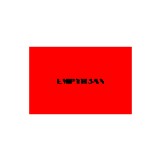 Graphic 4
